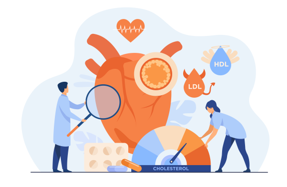 Chế độ ăn cho người mỡ máu cao: Ăn gì để giảm cholesterol và triglycerid tự nhiên