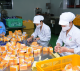 Y HỌC CỔ TRUYỀN ĐẠI HỒNG PHÚC